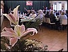 anz33.jpg
