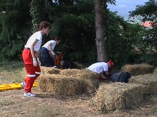 cri18.jpg