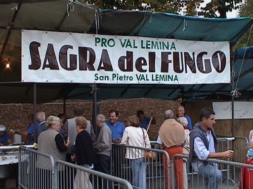 fungo0226.jpg