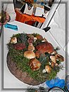 DSCF0599.JPG